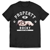 67b6dcf9cb67e_large